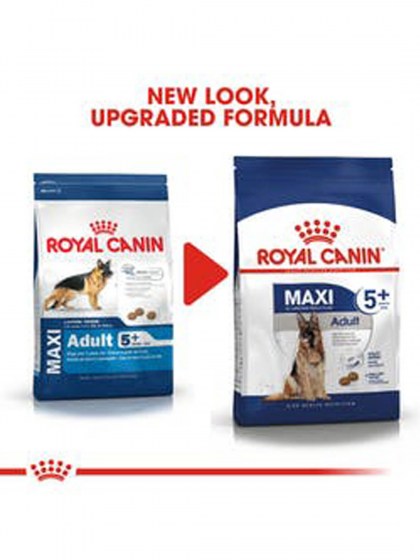 SHN MAXI ADULT 5+_web7